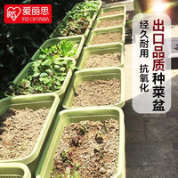 爱丽思 种菜盆 蔬菜种植箱 塑料菜盆 70cm绿色 送隔网