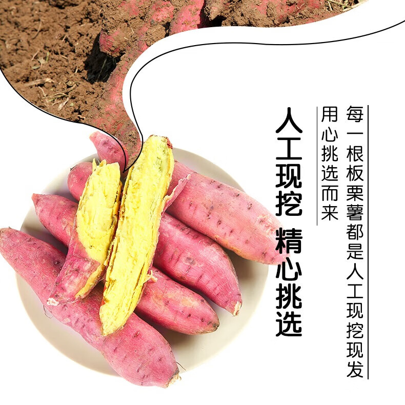 康田汇 陕西板栗红薯蜜薯当季新鲜蔬菜生鲜自然熟地瓜番薯果蔬 【粉糯香甜】拇指红薯净重2. 新鲜