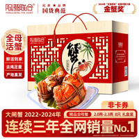 阳澄联合 大闸蟹现货 1588型公3.7-4.0两 母2.3-2.6两 10只 鲜活螃蟹礼盒 海鲜水产