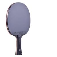 DHS 红双喜 乒乓球拍红双喜5星五星级双面狂飙3进阶级横拍直拍双面反胶