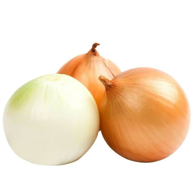 京喜 无品牌 国产黄洋葱 500g