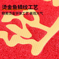百菲高级感防滑进门地垫入户门丝圈脚垫门口地毯入门门垫门外蹭脚垫子   1件数 【5年踩不坏】