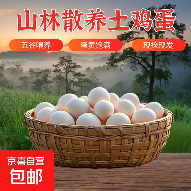 京喜加 土鸡蛋 新鲜鸡蛋 山林自养鸡蛋40g正负5g 鲜鸡蛋8枚