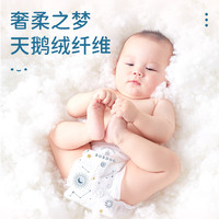 巴布豆 梦的初语拉拉裤XXL号30片