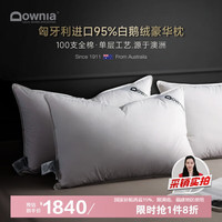 杜维雅 枕芯 匈牙利进口95%白鹅绒羽绒枕 100支五星级酒店枕头74*48CM