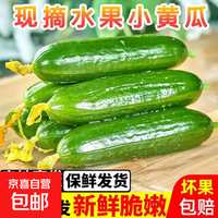 京喜 新鲜水果黄瓜 1斤 带箱