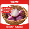 京鲜生 河南紫红皮洋葱净重5斤单果300g+ 现挖新鲜蔬菜 源头直发