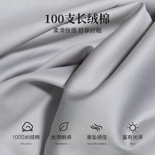 La Torretta床单单件 100支长绒棉纯色全棉酒店床上被单床罩 浅灰245*250cm
