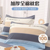 艾薇 罗马时代 枕套 48*74cm 纯棉