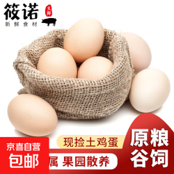 筱诺 农家散养土鸡蛋初 40g*4枚