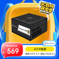 银欣 银昕（SilverStone）额定850W VG850R-GM 金牌ATX3.1电源 (原生PCIE5.1/全日系电容/压纹材质/风扇启停)