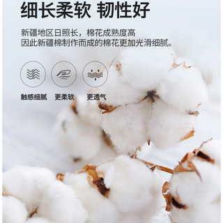 雅鹿家纺南通床上四件套纯棉床单被套全棉宿舍儿童卡通被罩床品三 淘气狗-k（柔软亲肤透气） 1.2米宿舍 床单款 三件套(被套150*200)