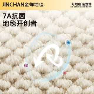 金蝉地毯客厅卧室床边毯2025年羊毛高级感轻奢免洗可擦地垫可机洗抗菌 新西兰羊毛毯高端系列--- 160cm*240cm