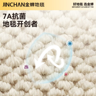 金蝉地毯客厅卧室床边毯2025年羊毛高级感轻奢免洗可擦地垫可机洗抗菌 新西兰羊毛毯高端系列--- 160cm*240cm