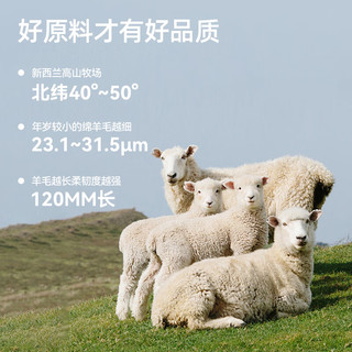 金蝉地毯客厅卧室床边毯2025年羊毛高级感轻奢免洗可擦地垫可机洗抗菌 新西兰羊毛毯高端系列--- 160cm*240cm