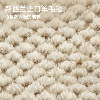 金蝉地毯客厅卧室床边毯2025年羊毛高级感轻奢免洗可擦地垫可机洗抗菌 新西兰羊毛毯高端系列--- 160cm*240cm