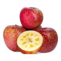 昭通苹果云南昭通丑苹果生鲜水果店新鲜冰糖心应季源头现摘脆甜果 5斤净重中果【果径70-75mm】