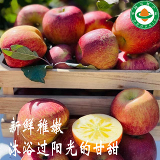 昭通苹果 云南昭通冰糖心脆甜苹果