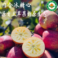 昭通苹果云南昭通丑苹果生鲜水果店新鲜冰糖心应季源头现摘脆甜果 5斤净重大果【果径75-85mm】