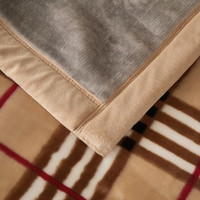 南极人双层毛毯被子冬天加厚款拉舍尔盖毯冬季10婚庆保暖盖毯宿舍绒毯子 CC-802 格子 200x230cm约8斤