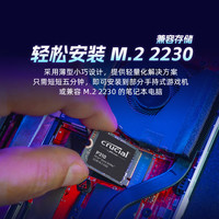 英睿达 P310 2230固态硬盘500G/1T/2T  steamdeck游戏掌机扩容SS
