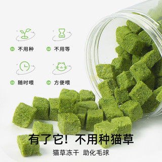 猫草冻干猫草粒猫咪零食化毛排毛磨牙洁齿猫草块猫薄荷饼干猫草片