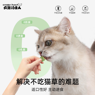 猫草冻干猫草粒猫咪零食化毛排毛磨牙洁齿猫草块猫薄荷饼干猫草片