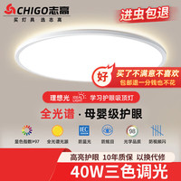 志高 2025新款三防吸顶灯卧室灯具全屋灯饰阳台过道餐厅薄现代简约照明 40W 防虫37cm白边三色