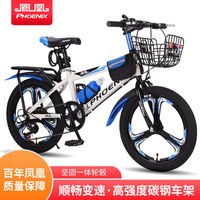 百亿补贴：凤凰 儿童自行车 一体轮单速款