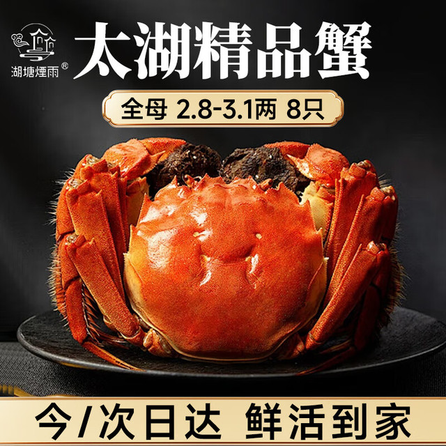 今日必买：湖塘煙雨 【活蟹】大闸蟹全母2.8-3.1两8只 现货礼盒装