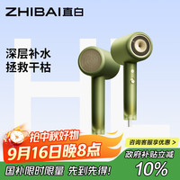 直白 HL6 电吹风 静谧绿