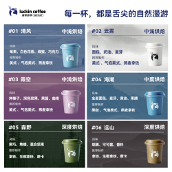 瑞幸咖啡 coffee咖啡精品速溶冻干粉冰美式纯黑咖啡粉生椰拿铁加量装 1x18x3g