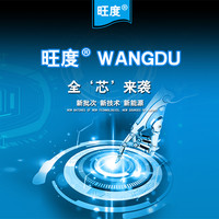 旺度适用于华为荣耀平板6电池大容量AGS3-W09HN AGS3-AL09HN魔改扩容增强版更换全新电板HB2899C0ECW 荣耀平板6电池【升级5600mAh】