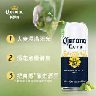 科罗娜 特级啤酒 500ml*12罐