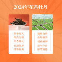 六妙 福鼎白茶大份量袋装白牡丹老树茶叶256g