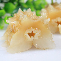 颐口福即食海参鲜食海参营养滋补海鲜特产礼盒中秋 即食黄玉海参1斤 7-10只