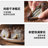 颐口福即食海参鲜食海参营养滋补海鲜特产礼盒中秋 大头即食海参2斤(8-12头/斤) 大头即食海参2斤(6-8头/斤)