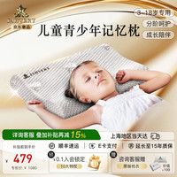 嘉唯 JAHVERY 枕头记忆枕儿童6-12岁青少年双向护颈枕婴儿枕防偏头颈椎枕 儿童双向枕 （M）6-12岁