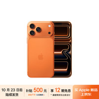 苹果 Apple iPhone 17 Pro Max 256GB 星宇橙色 5G双卡双待手机