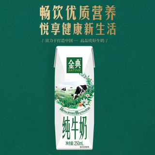 金典 伊利 3.6 蛋白學生早餐裝 250ml*24 盒 / 箱