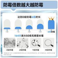 立邦补墙漆腻子膏抗菌防霉补墙修补膏墙皮脱落修补膏白色2.5kg*2