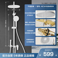 箭牌 ARROW 卫浴 花洒AE34168 淋浴花洒套装 圆顶喷 银色 脉冲按摩易洁除垢