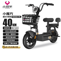 小羚羊 小魔方48V12AH铅酸电动车可上牌电动自行车免费送装上门 源彩黑