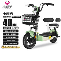 小羚羊 小魔方48V12AH铅酸电动车可上牌电动自行车免费送装上门 源彩绿