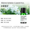 菓凯 花影出风口系列 车载香薰 栀子花补充精油10ML