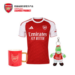 阿森纳 Arsenal 旗舰店球迷版球衣马克杯吉祥物挂件 AFCqiuyi