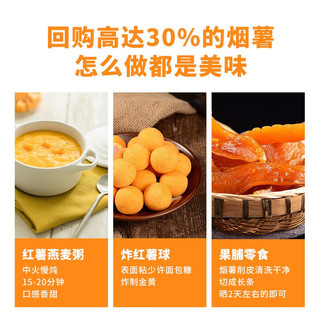 鲁禧海岸山东烟薯25号 超甜红薯糖心烟薯新鲜番薯地瓜烤薯 源头直发 严选中果净重5斤【彩箱装】