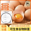 璞悠可生食谷物鲜蛋30枚