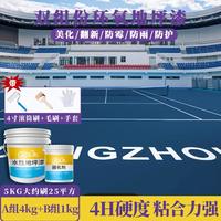 彩乐惠 双组份环氧树脂地坪漆水性车库厂房耐磨水泥地面家用防滑地板漆