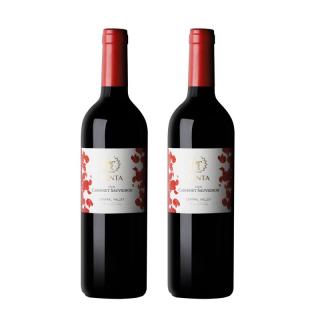 天帕 智利中央山谷原瓶赤霞珠干红葡萄酒750ml*2瓶